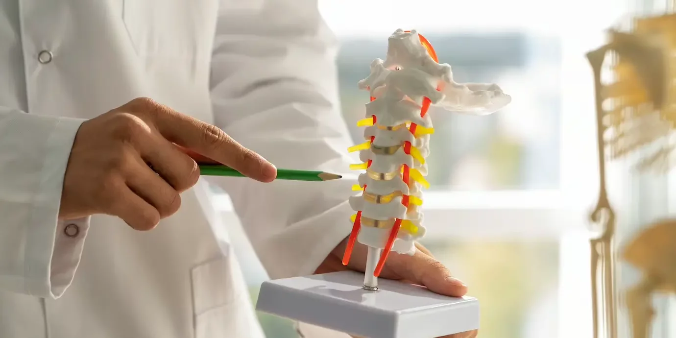Spinal Cord Compression Spinal Cord Compression