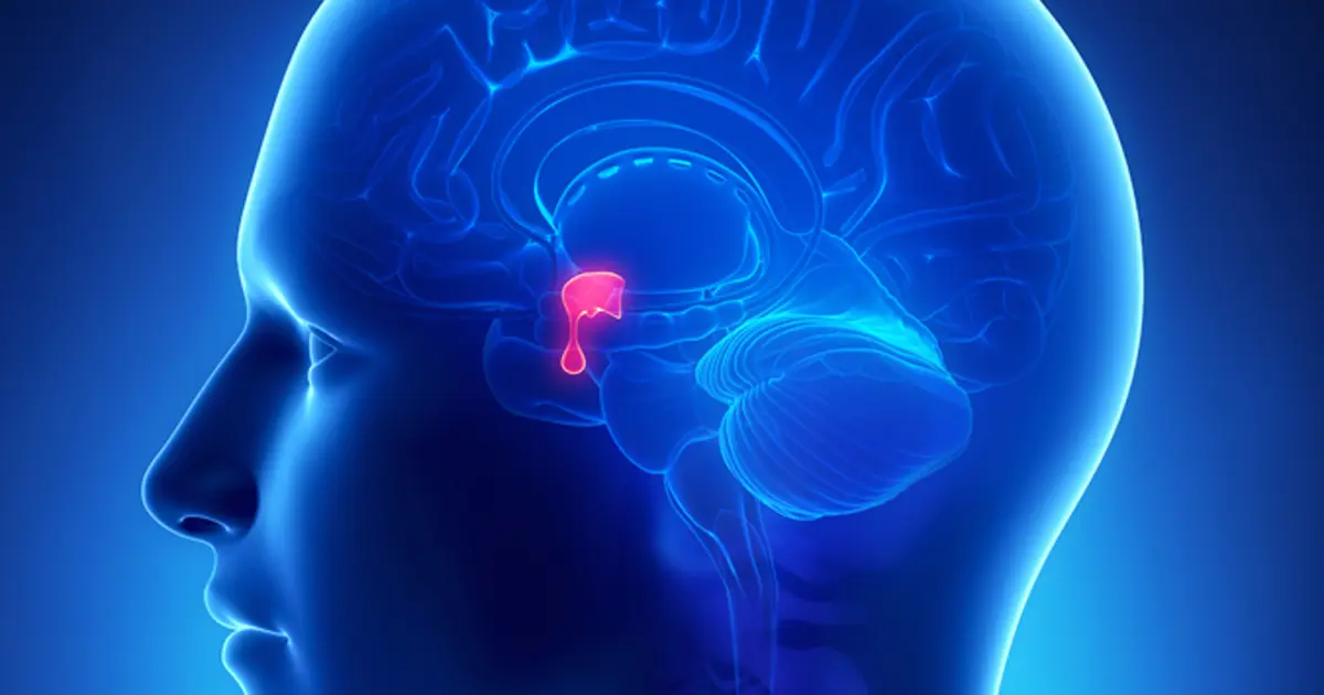 Pituitary Tumor Pituitary Tumor