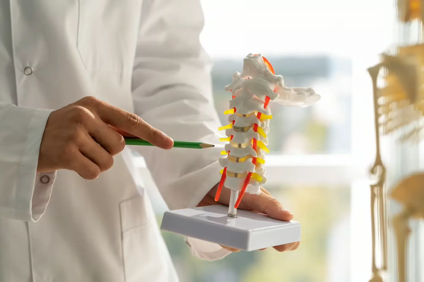 Spinal Cord Compression Spinal Cord Compression