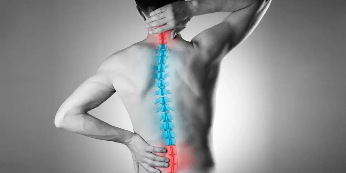 Spine fixation Spine fixation